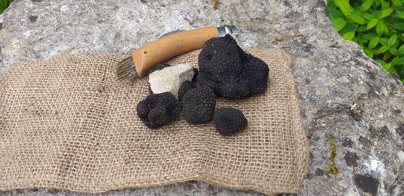 Brisures de truffes d'été Tuber aestivum biologiques 50 g La Cerca  condiment à base de truffes
